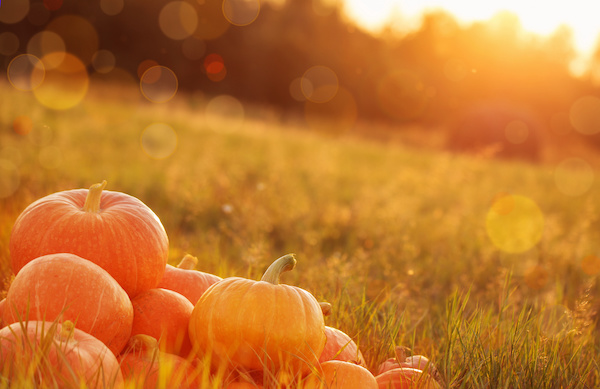 Fun Fall Activities To Do in Eugene, OR