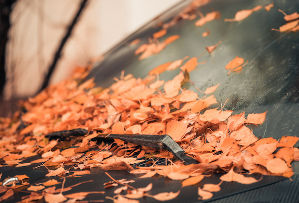 10 Fall Car Maintenance Tips
